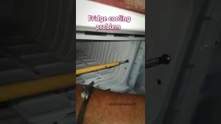 fridge cooling problem fridge not coolingfridge repairfridge fridgecoolingproblem [upl. by Purdum401]