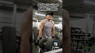 The Ultimate Traps Workout Build Massive Traps amp Improve Posture [upl. by Anomis]