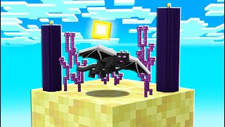 ENDER DRAGON BATTLE ON ONE BLOCK EP 19 [upl. by Georgianne]