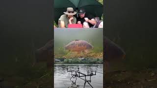 Lost my mind 🤣 fishing carping carp underwater shorts carpfishing catchandrelease carprun [upl. by Festa]