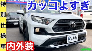 RAV4【どこが特別に？】Adventure quotOFFROAD packagequot 特別仕様車 内装外装レビュー！ RAV４の魅力はラゲッジにあり [upl. by Kelsy879]