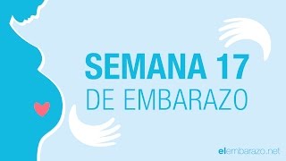 Semana 17 de embarazo  17 semanas de embarazo  El embarazo semana a semana [upl. by Drageruaeb]