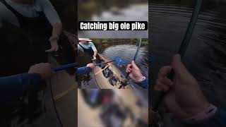 Hims a big man youtuber fypyoutube fishing content pikefishing bassfishing [upl. by Areek38]