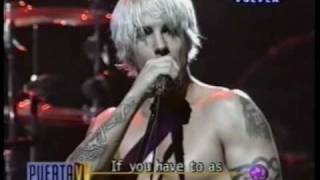 Red Hot Chili Peppers  If You Have To Ask Live in Argentina 1999 [upl. by Alin]