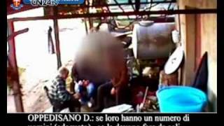 CN24  Operazione Il Crimine in manette la cupola della ndrangheta [upl. by Aynam]