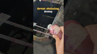 Gram stainingmicrobiology🦠🧫🔬collegestudentsmicrobiologymbbsmedicoshortsshortsfeedshortvideo [upl. by Nonac]