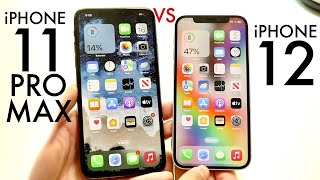 iPhone 11 Pro Max Vs iPhone 12 In 2024 Comparison Review [upl. by Otrevire915]