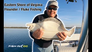 Eastern Shore of Virginia Flounder  Fluke Fishing [upl. by Britney942]