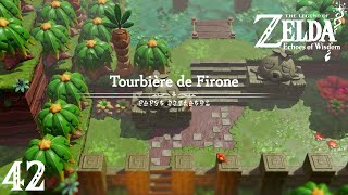 The Legend of Zelda  Echoes of Wisdom  Épisode 42  Tourbière de Firone [upl. by Llyrrad]