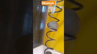 national museum delhi shortvideo [upl. by Chenay]