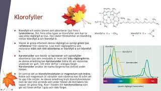 Fotosyntesens biokemi  Biologi 2 100 p [upl. by Atteve]