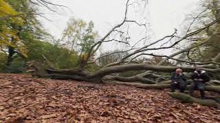 Hampstead Heath Avata 2 FPV [upl. by Ynahpit]