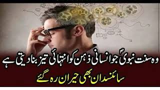 Benefits of kaloola in urdu benefits of day nap [upl. by Dimphia]