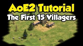 Beginner guide to the first 15 villagers AoE2 [upl. by Nylecsoj]