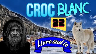 Croc Blanc  Jack London  Chapitre 22  à Lire et écouter [upl. by Amathiste]