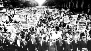 The Civil Rights Movement Was A Farce [upl. by Eiramoj]