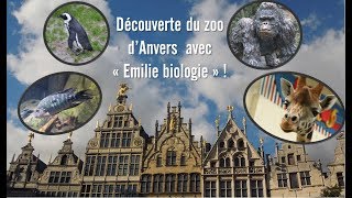 ▶️ VLOG  Visite du zoo dAnvers [upl. by Atinej]