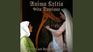 Douce dame jolie French Medieval Love Song Performed on Harp and Bodhram [upl. by Ellicul]