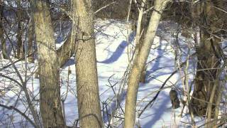 Christmas Carols on the Panflute [upl. by Roumell]