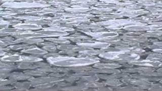 Ryuhyo  Japanese Drift Ice in the Sea of Okhotsk Abirishi Hokkaido [upl. by Zetes]