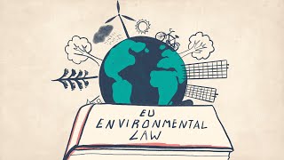 EU Environmental Law  Explainer 101  Part 2  Public Participation [upl. by Deni520]