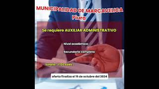 SE REQUIERE AUXILIAR ADMINISTRATIVO [upl. by Susanne]