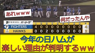 【わくわく】今年の日ハムがquot楽しい理由quotが判明してしまうｗｗｗ [upl. by Ailana]