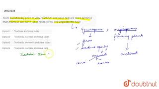 From evolutionary point of view tracheids and sieve cells are more primitive than tracheae and s [upl. by Gastineau]