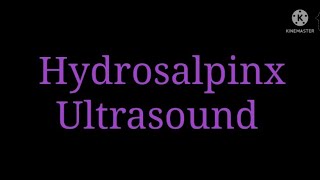 Hydrosalpinx Ultrasound [upl. by Cardie477]