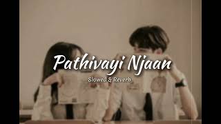 Pathivaayi Njaan Slowed amp Reverb Malayalam Mappila Song [upl. by Lemhar929]