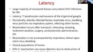 equine herpesvirus type 1 and 4 [upl. by Nam]