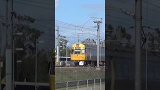 ICE at KippaRing australiantrains queenslandrail railfanning [upl. by Adnamra861]