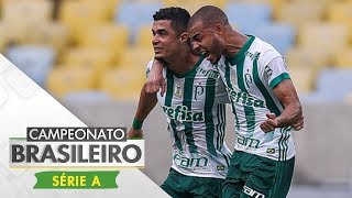 Melhores Momentos  Fluminense 0 x 1 Palmeiras  Campeonato Brasileiro 24092017 [upl. by Stoll]