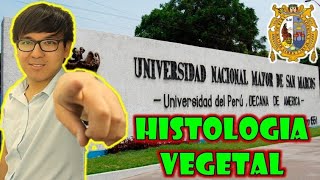 BIOLOGÍA FREE   HISTOLOGIA VEGETAL 💚🌿🍃 [upl. by Lilian550]