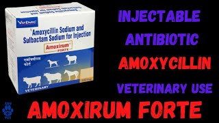 Augmentin ES syp AmoxicillinClavulanic Acid Uses Dosage Side Effects Precautions amp Benefits [upl. by Sigismond673]