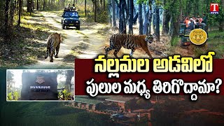 Jungle Safari In Amrabad Tiger Reserve Nallamala  Citizens Enjoy Trekking  T News [upl. by Dlaniger394]