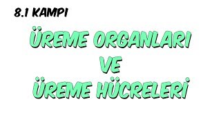 Üreme Organları ve Üreme Hücreleri  81 Kampı [upl. by Yrmac75]