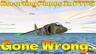 I Escorted Random Planes In PTFS Pt2 Roblox [upl. by Yendyc]