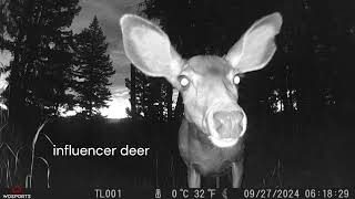 Game Cam September 2024 [upl. by Jone]