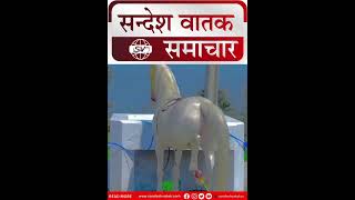 अद्भुत घोड़ा जो पीता है बिस्लेरी पानी jaipur viralvideo [upl. by Clarisa]