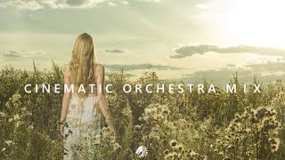 Admire the Lndscape of Ones Life Ahead From the Grassland  Cinematic Orchestra Mix [upl. by Enellij]