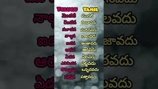 Telugu to tamil numbers part2 tamil [upl. by Tacklind726]