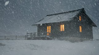 Epic Blizzard Storm┇Winter Wind┇Howling Wind amp Heavy Snowstorm Sounds for Sleeping┇Winter Ambience [upl. by Enetsuj850]