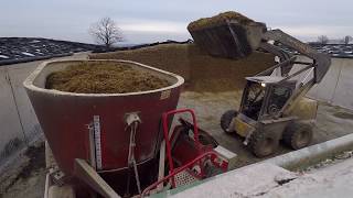 Mixing Feed for Dairy Cows [upl. by Moriah]