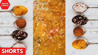 South Indian Special Brinjal Chutney Shorts [upl. by Adnwahsar]