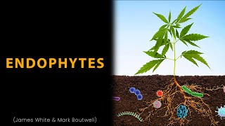 Endophytes The Amazing Microorganisms That Live Inside Plants  James White [upl. by Eaton]