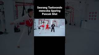 Taekwondo vs pencak silatsparring sparing [upl. by Morville]