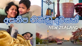 අසනීප නිවාඩු දවසක්  New Zealand  Sri Lankan  Vlog 27  සිංහල vlog  Sinhala vlog [upl. by Shugart70]