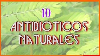 10 Increibles Antibióticos Naturales Que te Ayudaran a Enfrentar a Las Infecciones [upl. by Eibrab]