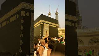 hajj makkalivetoday hajjlive mecca madinahlive madina shortvideo shorts short [upl. by Rotberg566]